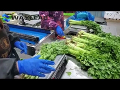 Maquinaria de embalaje de almohadas para galletas de bocadillo Equipo de embalaje automático de productos de confitería