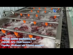Máquina de embalaje de latas de tomate de 1 kg