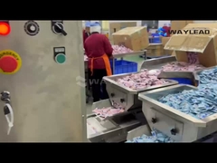 Bienvenido a ver el proceso de operación eficiente de la máquina de embalaje de bolsas.