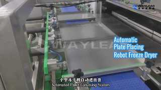 Liofilizador automático de colocación de placas