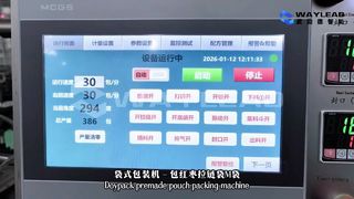 Máquina envasadora rápida de bolsas de líquidos WG250