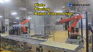 Máquina automática de envasado de liofilizador con robot de colocación de placas