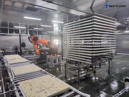 Robot automático de colocación de placas de alta eficiencia personalizado para líneas de producción de liofilizadores